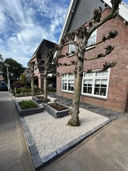 Voortuin in Goor van opzij gezien: leibomen in licht grind, drie plantenbakken en een rand van donkere stenen